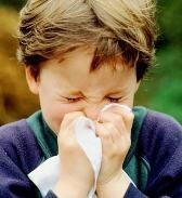 аюрведа лечение аллергии_ajurveda lechenie allergii