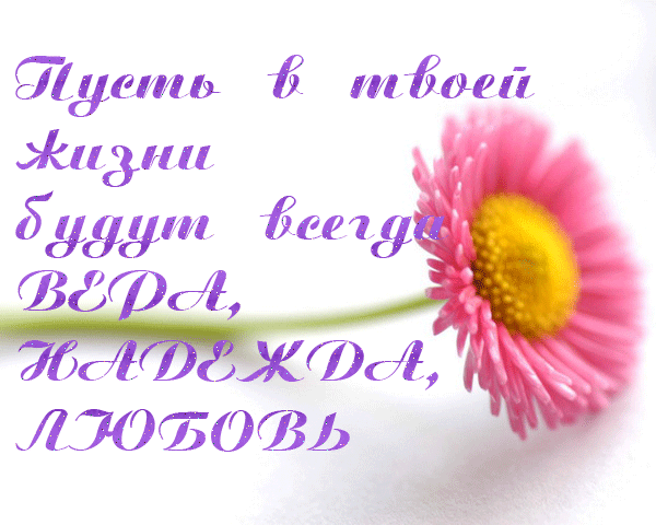 http://img-fotki.yandex.ru/get/5304/yello-bliznec.67/0_5d802_505379ad_XL.jpg