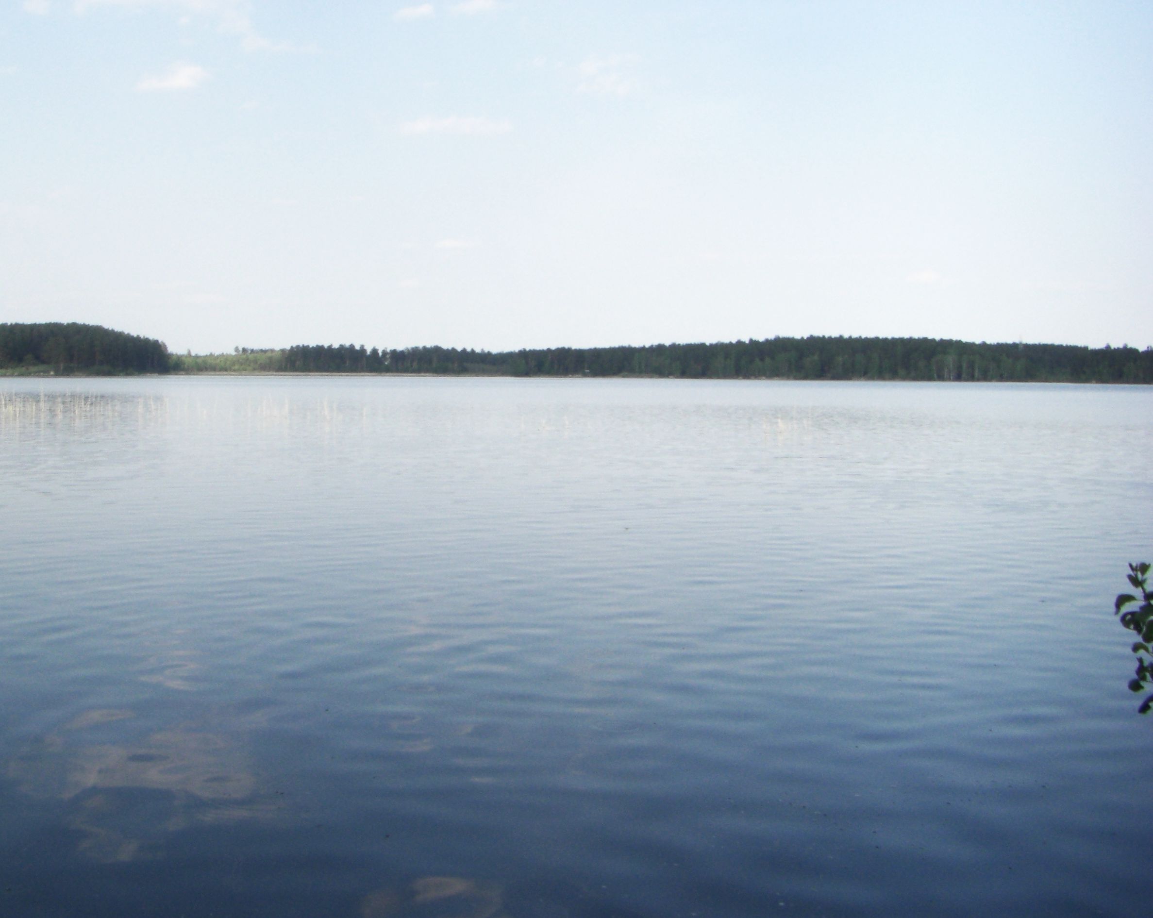 Озеро Сугомак (04.06.2014)