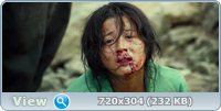  /  Bedevilled / Kim Bok-nam salinsageonui jeonmal (2010/DVD5/HDRip/2100Mb)