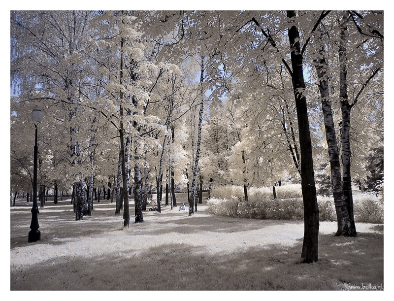 Зима в работах фотохудожника  Марии Нецунски (Maria Netsounski)