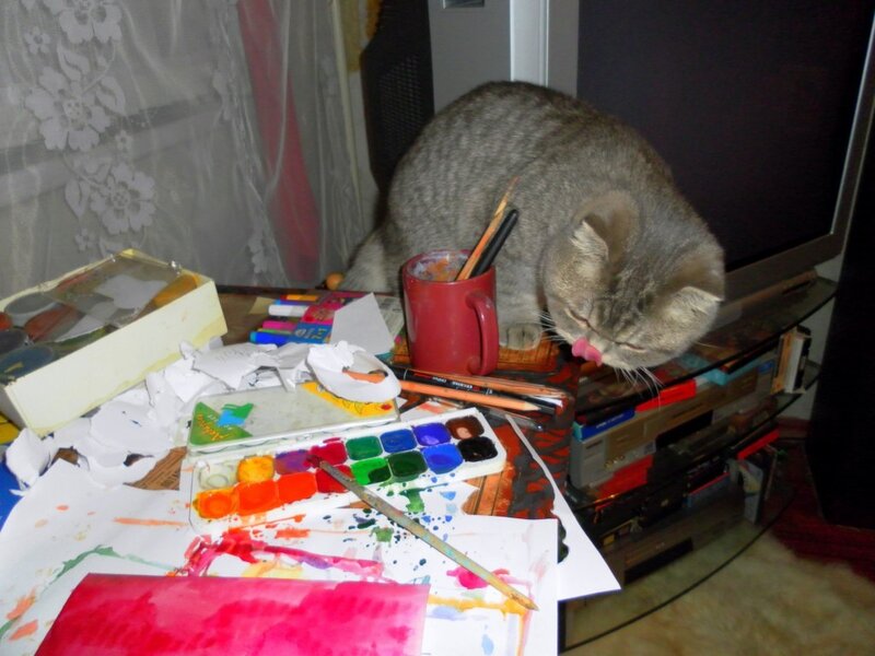 Творческий беспорядок, краски, рисование, кот