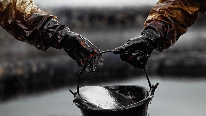 Цена нефти Brent установилась выше 51 долл. за баррель