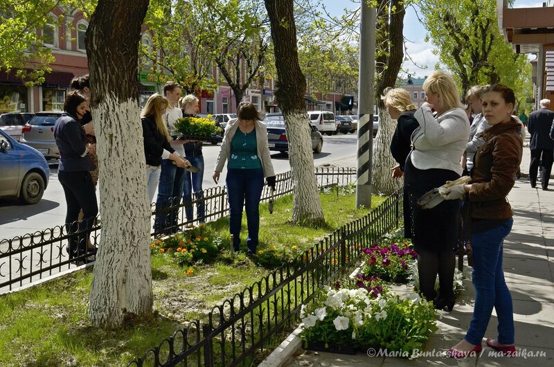 Газоны на Радищева, Саратов, 07 мая 2013 года