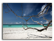 Сейшелы.  Seychelles coast. Фото Daniel Nagy - Depositphotos