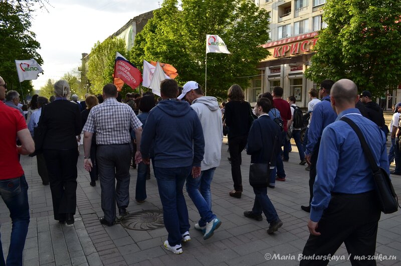 Митинг в поддержку политзаключенных по 'болотному делу', Саратов, 06 мая 2013 года