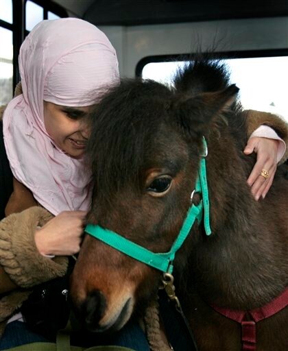 Лошадка-поводырь для мусульманки Horse Blind Muslim