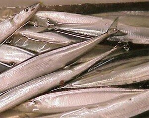 В Приморье в период нереста лососевых задержано 60 партий браконьерской рыбы