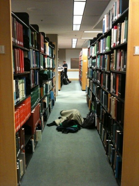спящие в библиотеке