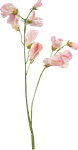 Цветы розовые  0_57d54_fb775f0b_S