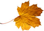 Осень.Листья  0_57dc6_ea270dbd_S
