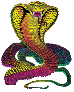 Змеи - анимация и клипарт