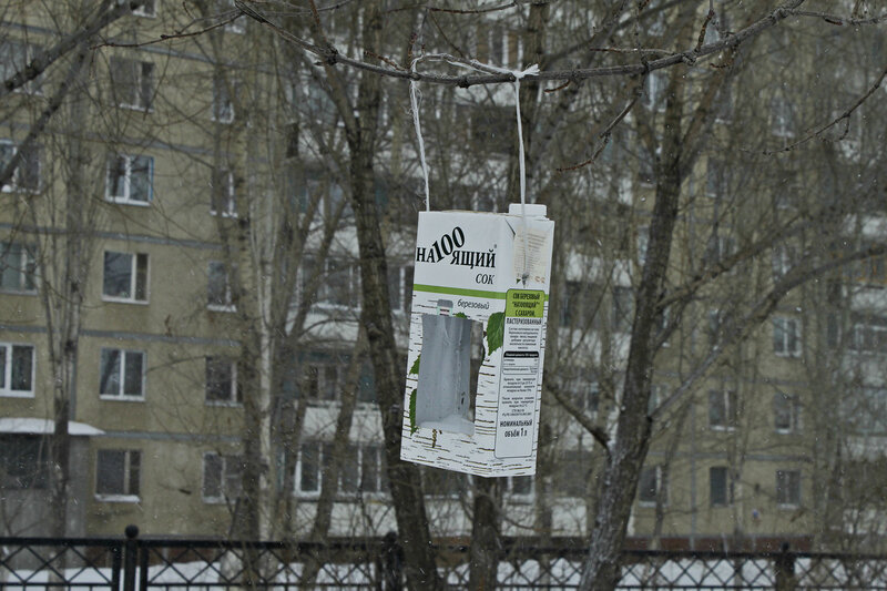 Парк 'Солнечный', Саратов, 24 февраля 2012 года
