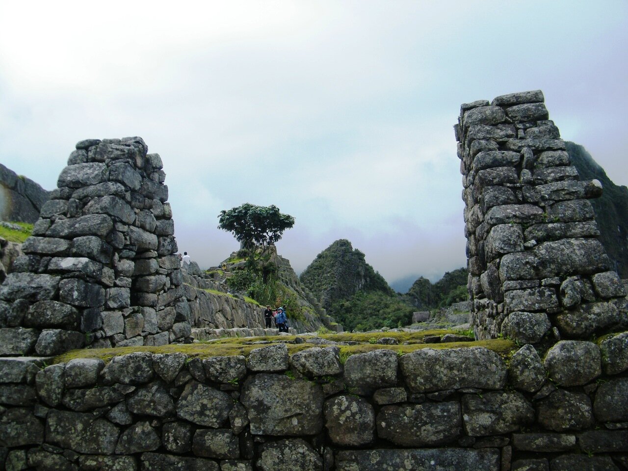 Зелень и камни в Мачу-Пикчу