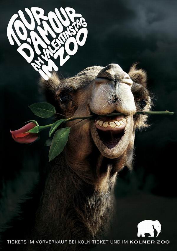 Реклама зоопарков. Креативная и позитивная.