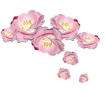 Цветы розовые  0_81e7f_2eaee148_S