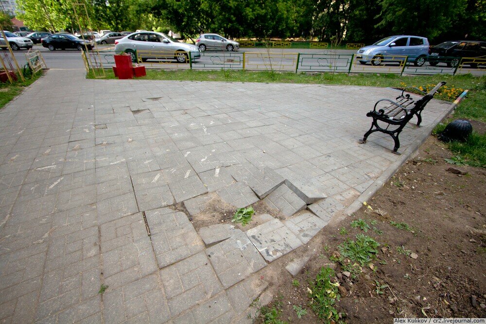 В Москве украден памятник бобру