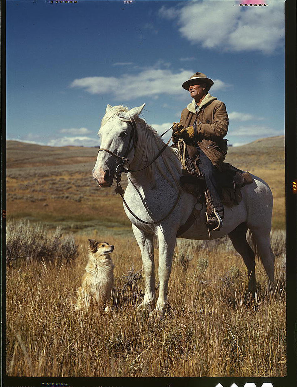 Shepherd with his horse and dog on Gravelly Range Madison County, Montana, August 1942. Reproduction from color slide. Photo by Russell Lee. Prints and Photographs Division, Library of Congress