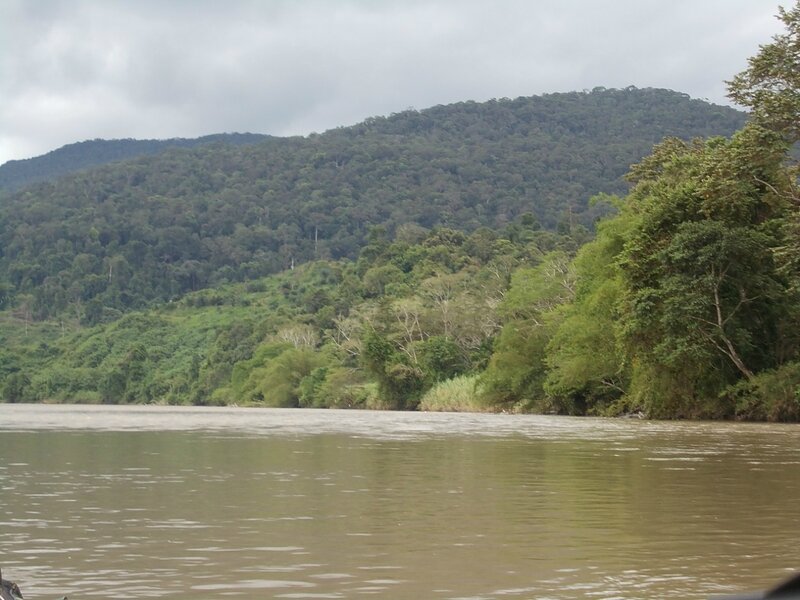 Сквозь джунгли Борнео по рекам на надувном каноэ