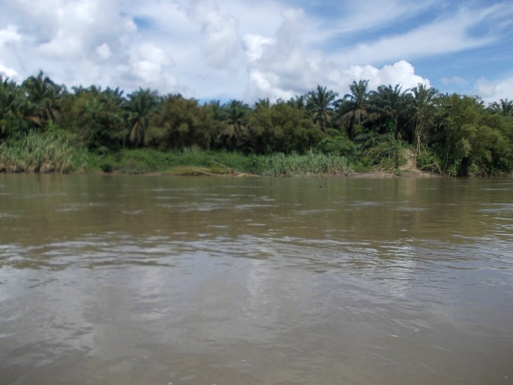 Сквозь джунгли Борнео по рекам на надувном каноэ