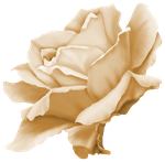  «Rose Wedding»  0_85634_d552927b_S