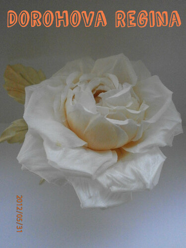 Роза-царица цветов - Страница 20 0_82bc6_e11b4a99_L