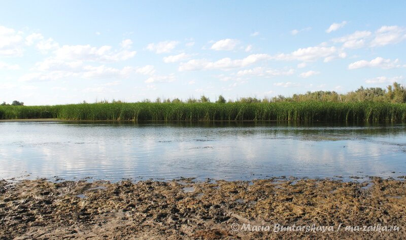 Озеро близ села Генеральское, 28 июля 2012 года
