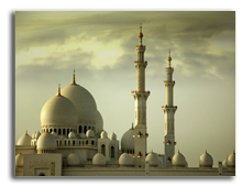  ОАЭ. Абу Даби. Мечеть шейха Заеда. Фото creativei images - shutterstock