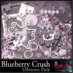 «Blueberry Crush»  0_9535d_123b4479_S