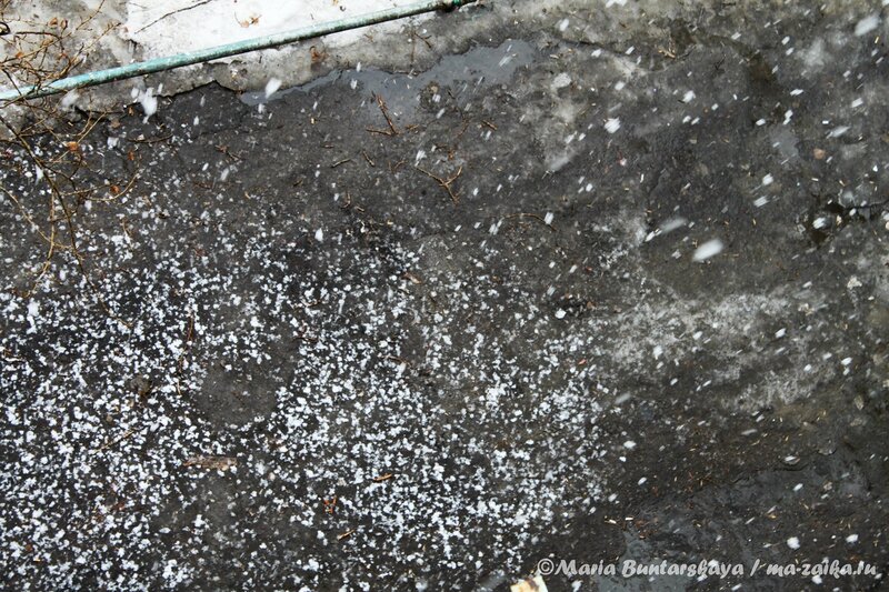 Снежок выпал, Саратов, 18 марта 2013 года