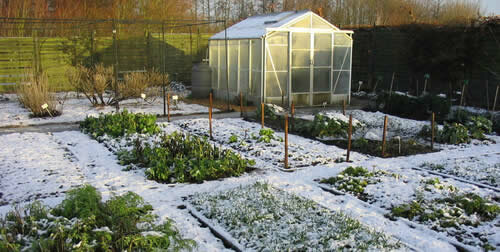 огород зимой, подготовка к посеву, уход за садом в зимние месяцы