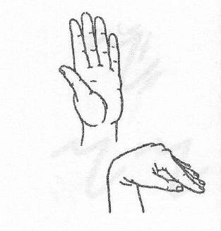 Гимнастика для пальцев 0_ca00a_43ea69f1_L.jpg