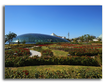 ОАЭ. Дубаи. Raffles Dubai. Raffles Botanical Garden