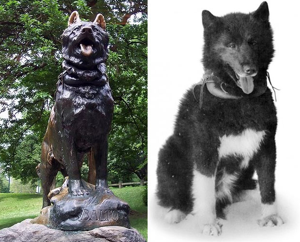 Собаки в истории - два героя