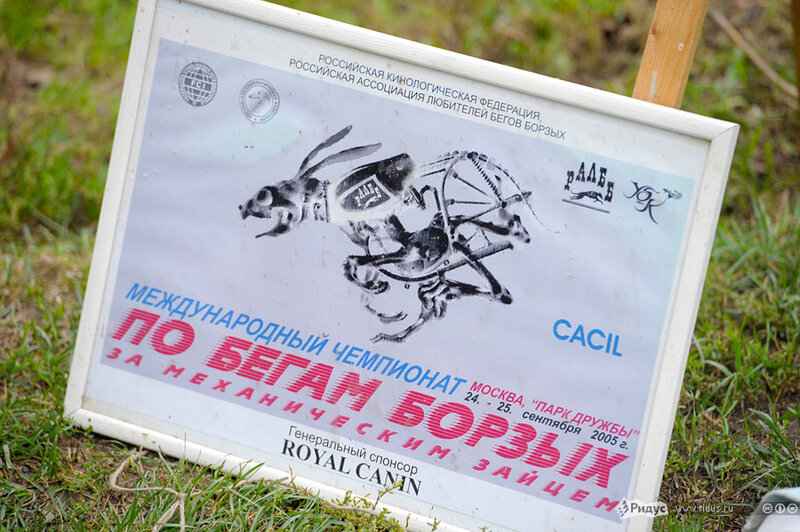 Чемпионат по бегам борзых за 'механическим зайцем', 02 сентября 2012 года