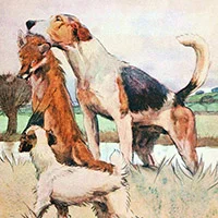 Cecil Aldin, White-ear and Peter