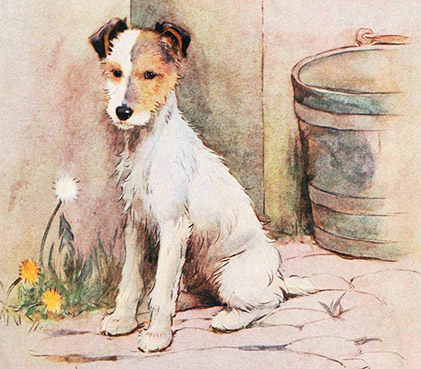 Cecil Aldin, White-ear and Peter