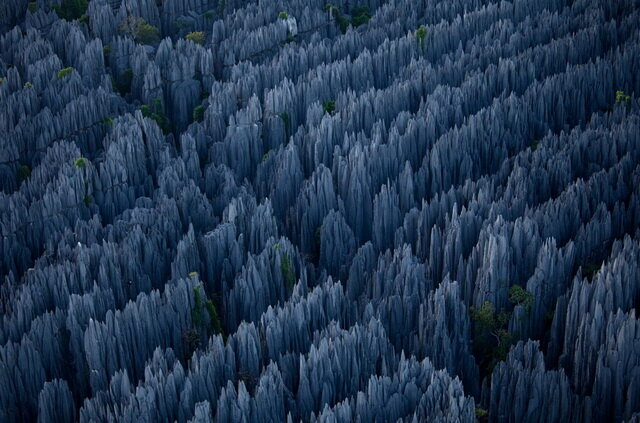 Каменный лес. Заповеднике Цинги де Бемараха. Мадагаскар