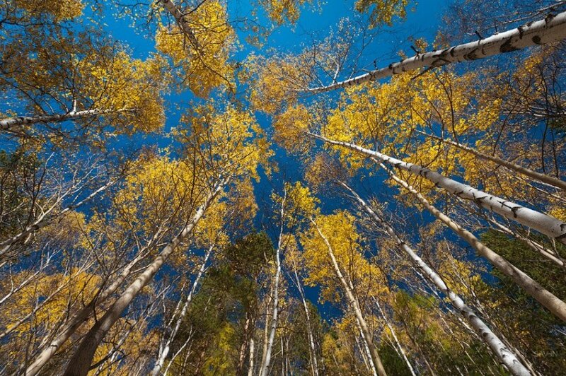 Золотая осень на Байкале