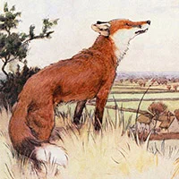 Cecil Aldin, White-ear and Peter