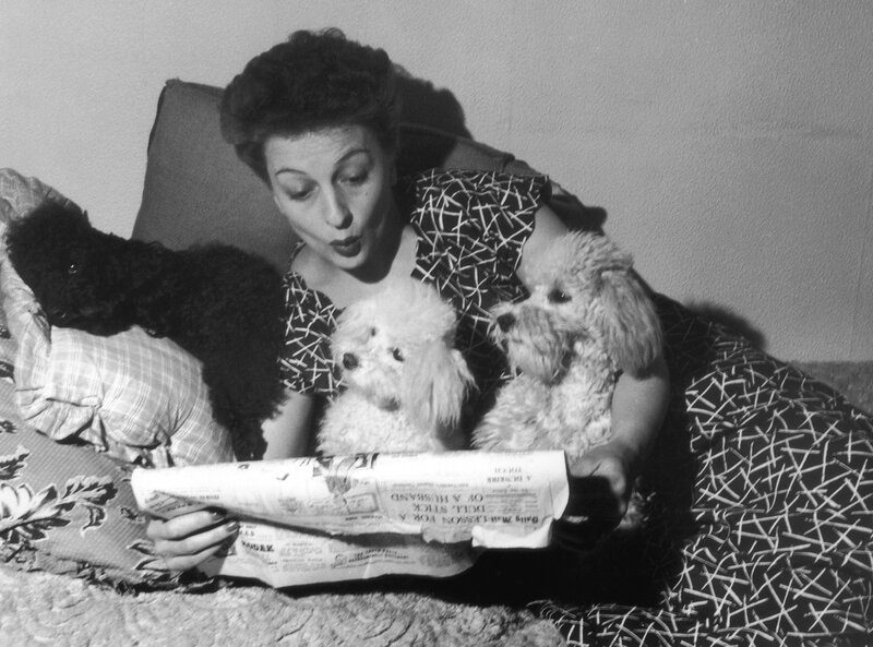 Betty Driver's Poodles