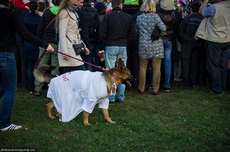 Собачья выставка-карнавал 'Собака - Улыбака', Санкт-Петербург, октябрь 2012 года
