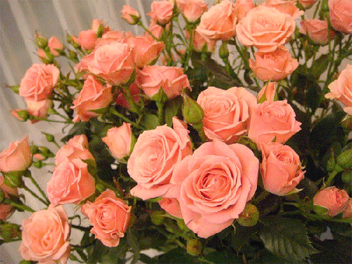 Букеты роз, лилий и других цветов