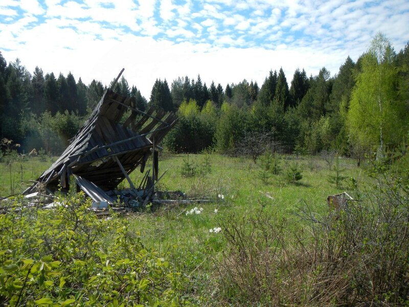 Развалины заброшенных садов в окрестностях Чепецка