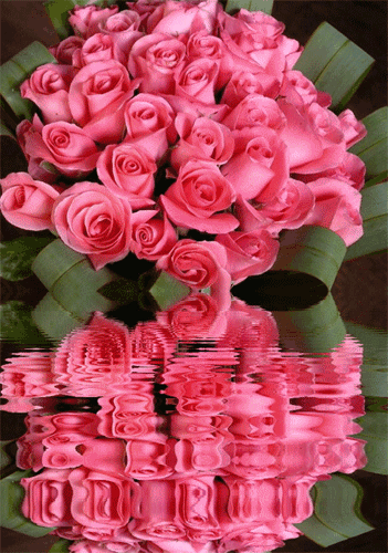 Розовое очарование! Розовые розы отражаются в воде