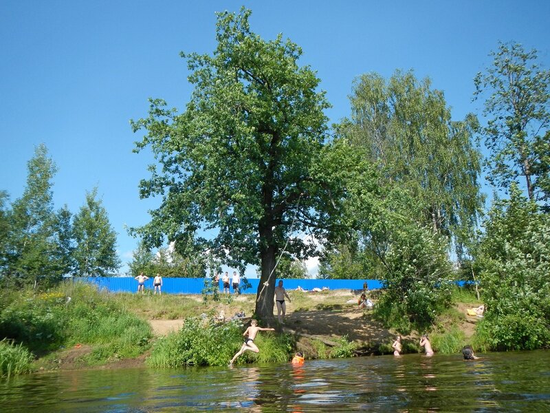 Прыжки с тарзанки на дубе на берегу Чёрного озера в Кирове