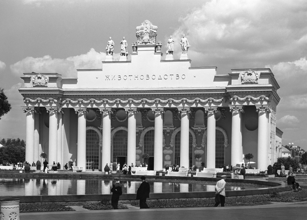 Павильон Животноводство, 1956 год. ИТАР-ТАСС/Николай Акимов