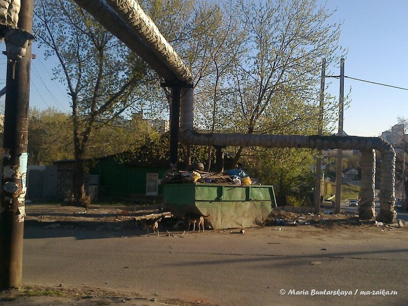 Весёлая прогулка, Саратов, 26 апреля 2014 года