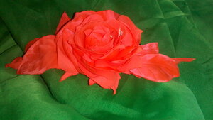 Роза - царица цветов 2 - Страница 23 0_c356f_a9b218d_M