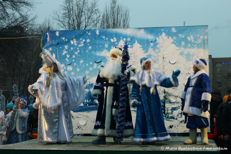 Парад дедов Морозов, Энгельс, 21 декабря 2013 года